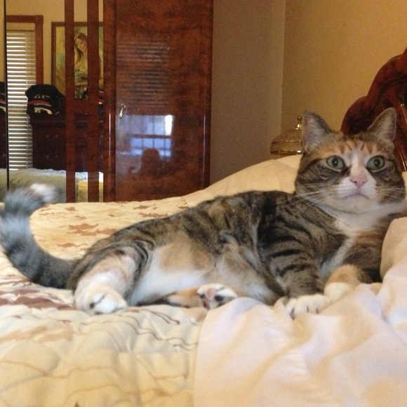 Meet your Posher, Barbara - Picture 2 of 5